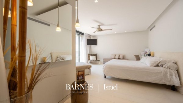 Luxurious Villa in Ra'anana - picture 3