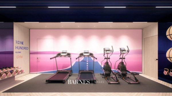 פרויקטים חדשים... - picture 4