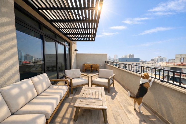 פנטהאוז דופלקס... - picture 1