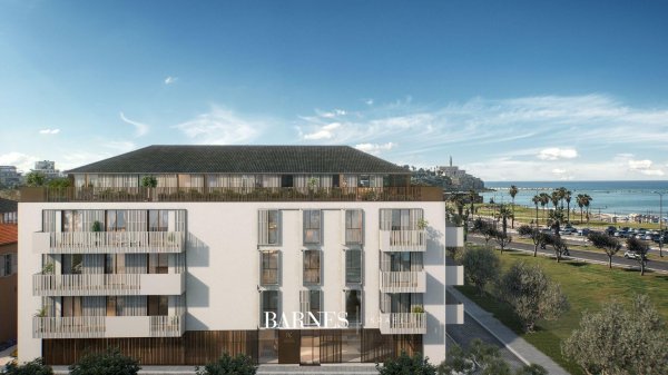 מגורי רב קוק,... - picture 4