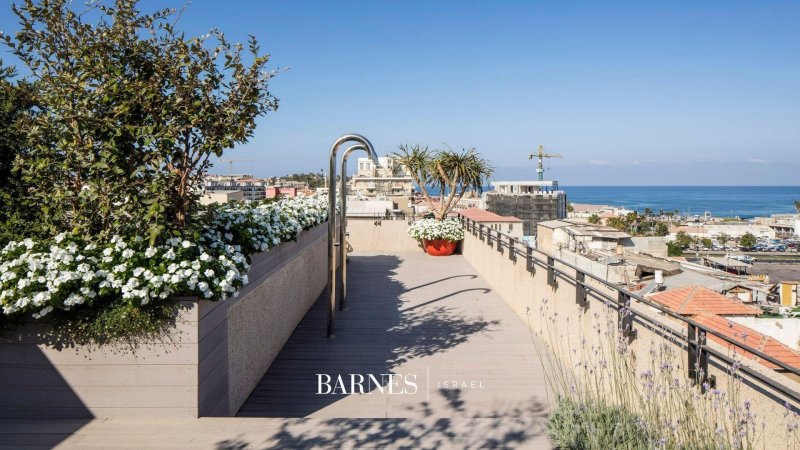 Rooftop villa in Tel Aviv - picture 5
