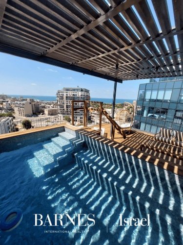 פנטהאוס דופלקס... - picture 1